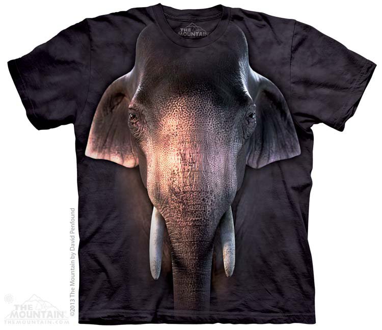 Купить The Mountain Детская футболка Big Face Asian Elephant - Азиатский слон