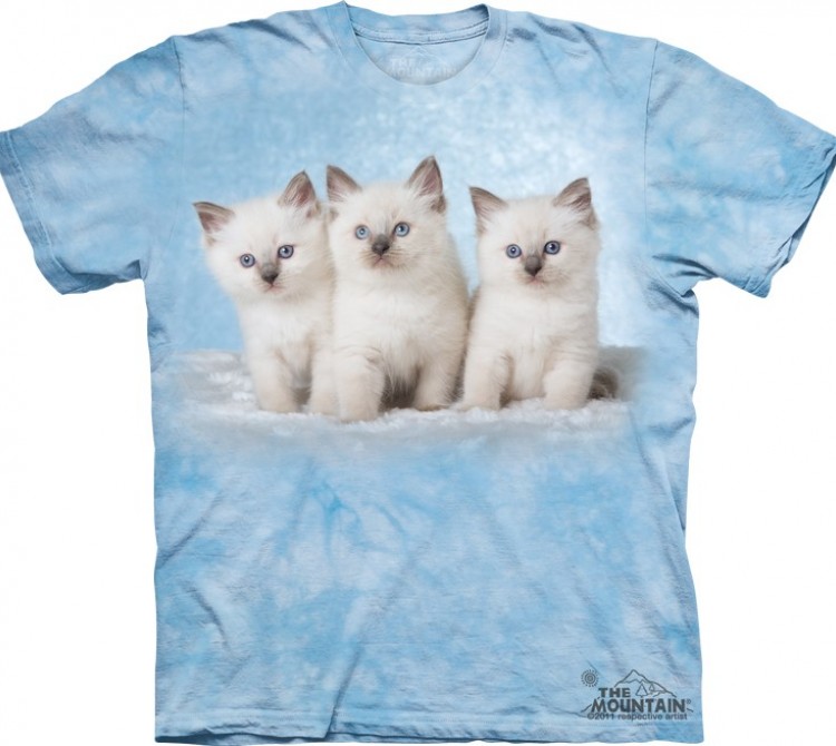 Купить The Mountain Футболка Cloud Kittens - Три дымчатых котенка