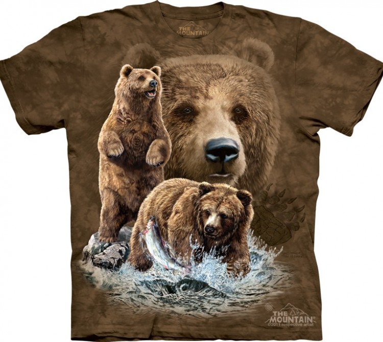 Купить The Mountain Футболка Find 10 Brown Bears - Найди 10 бурых медведей